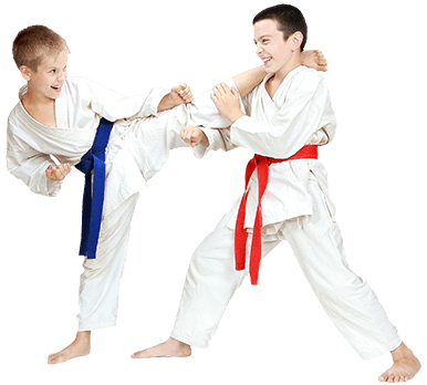 Fitness Health Bang Elite Sport Taekwondo